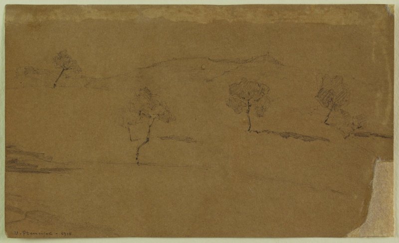 1914 - Paesaggio con ulivi
